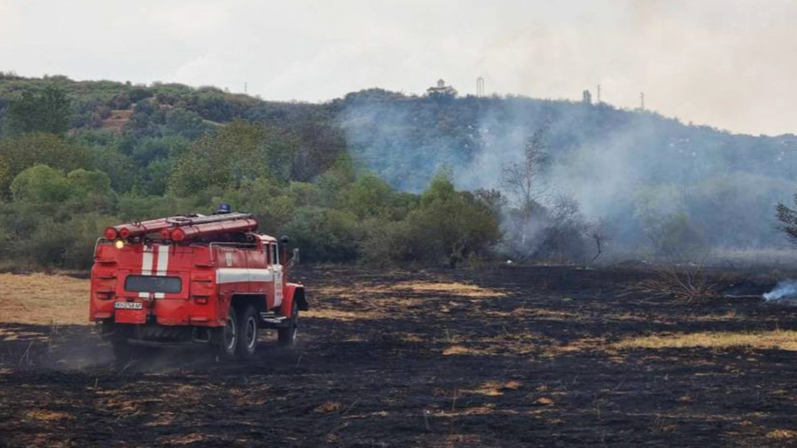 Инж. Николай Василев: Горският сектор да е на фокус!