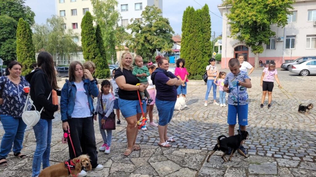 Кула отново събра любителите на домашни любимци на традиционна изложба