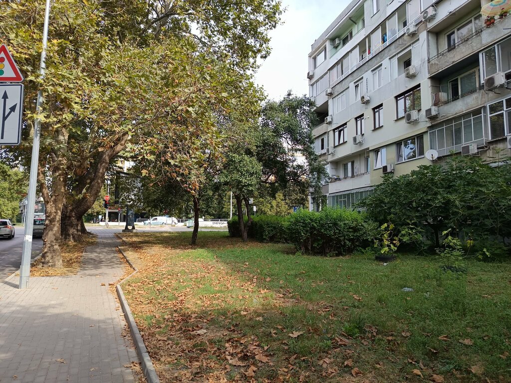 Дете е с мозъчно сътресение след падане на клон до стадион "Тича" във Варна