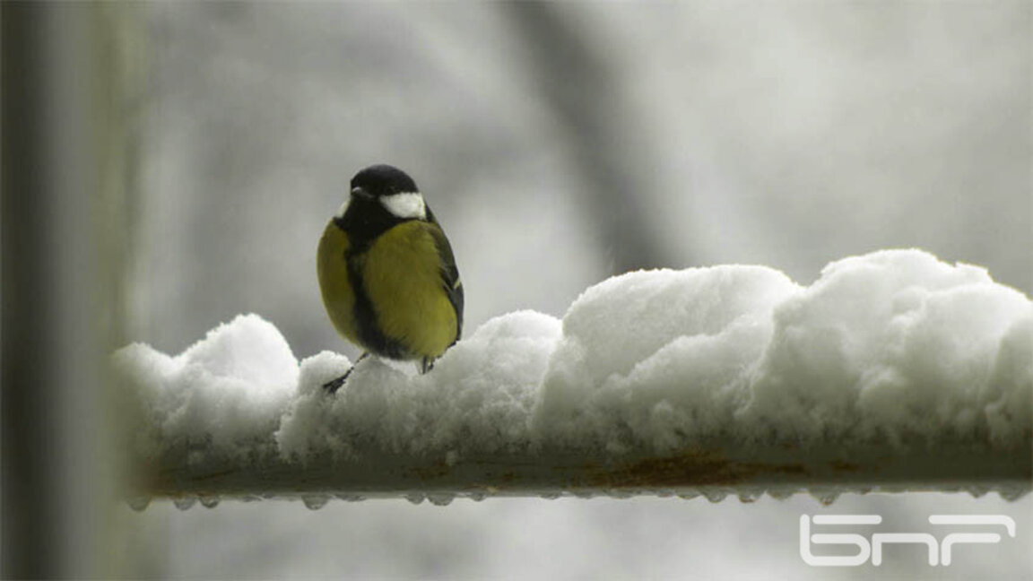 Отново топло време в петък, но ще застудее