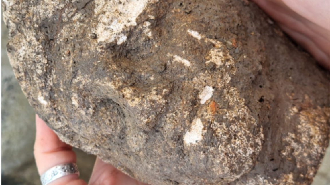 Statuetă rară a zeului Priap, descoperită în castrul roman Nove