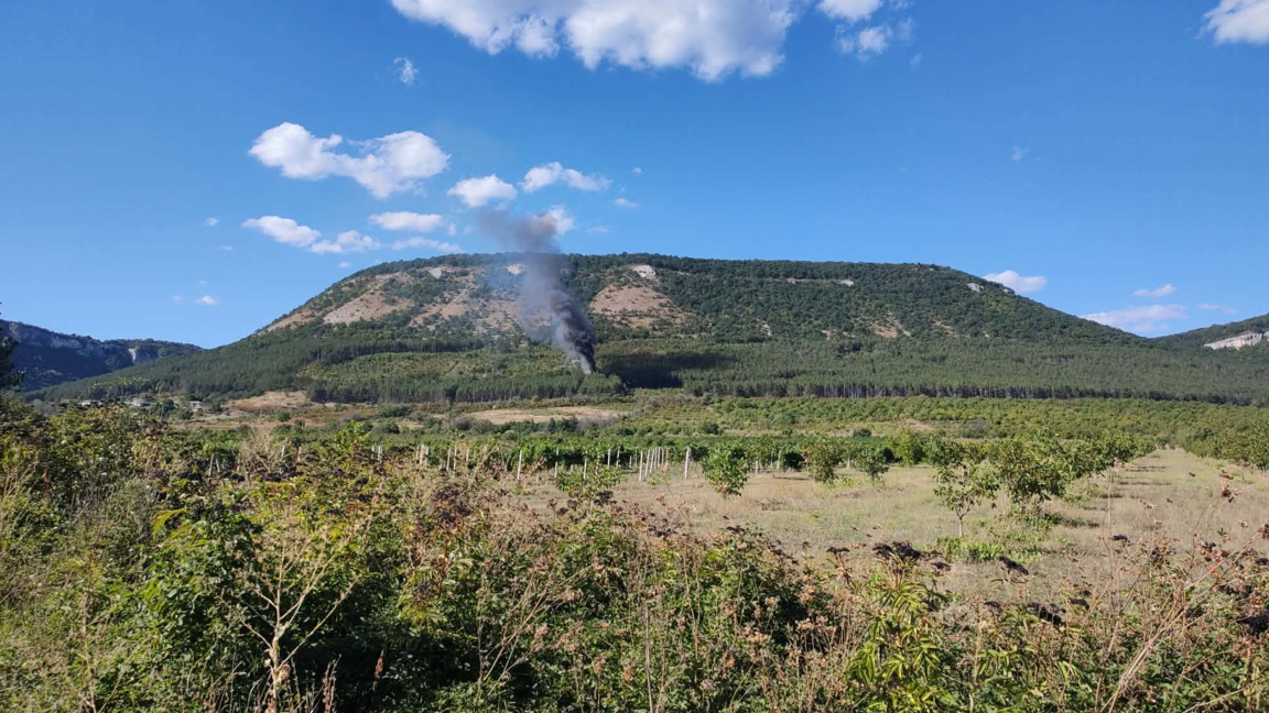 Пожар в борова гора