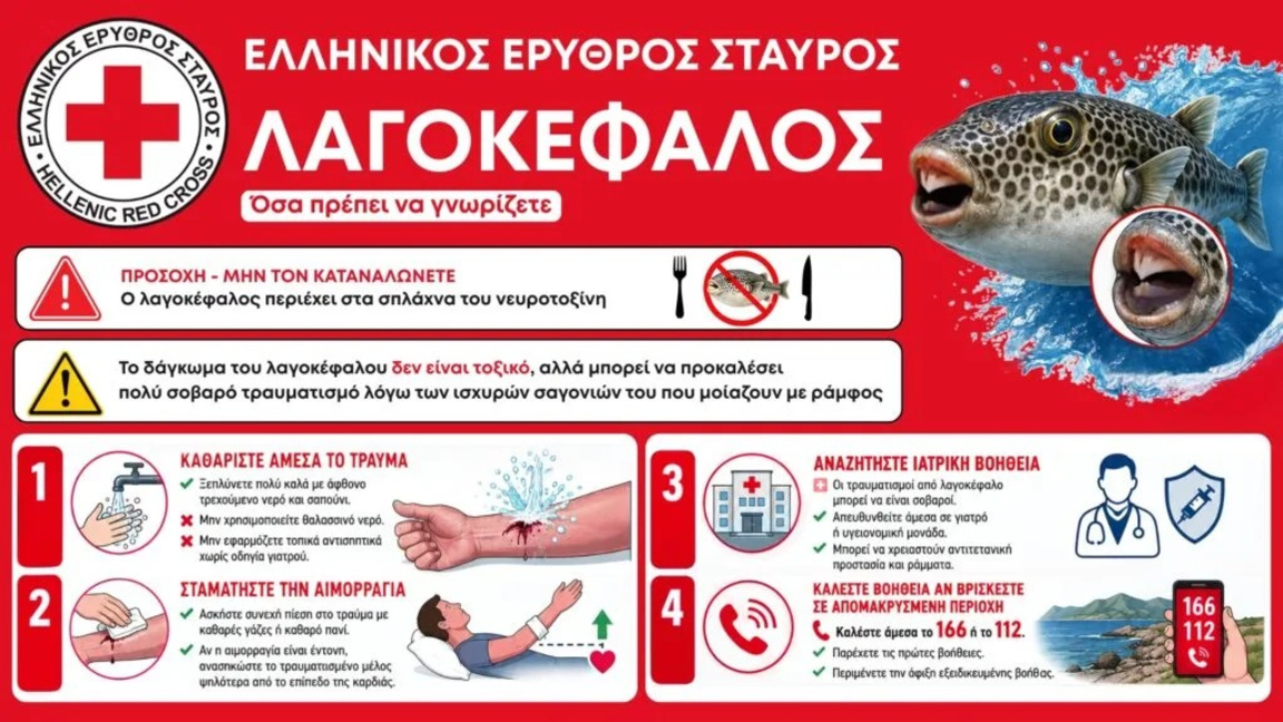 Гръцкият червен кръст съветва какво да правим при ухапване от риба-заек