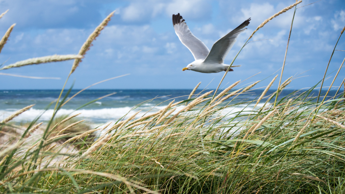 E 21 de junio marca la llegada del verano astronómico