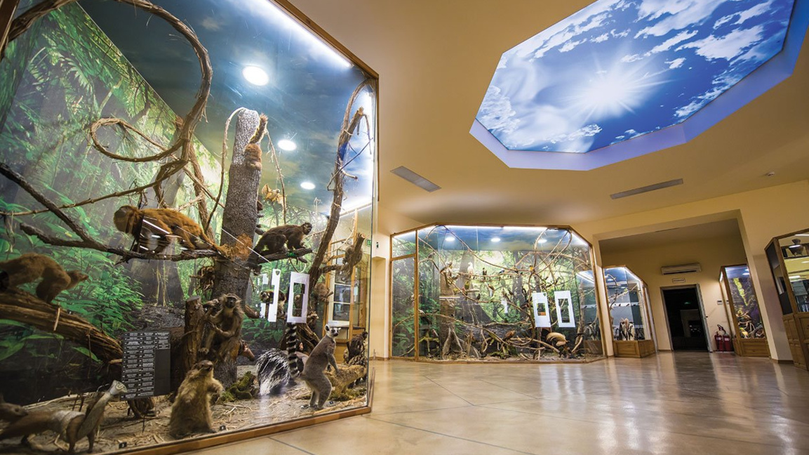 Отбелязват 70 години от създаването на Природонаучния музей в Пловдив