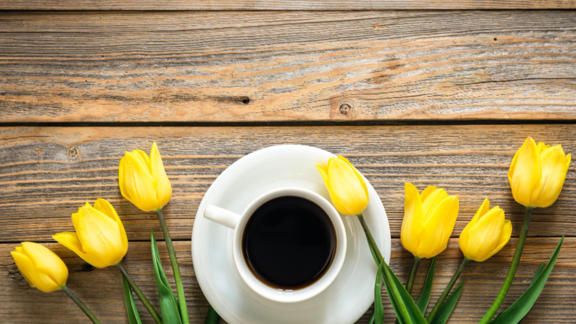 „Отвори очи от 7 до 10 с БНР-Бургас“ на 28 ноември! 