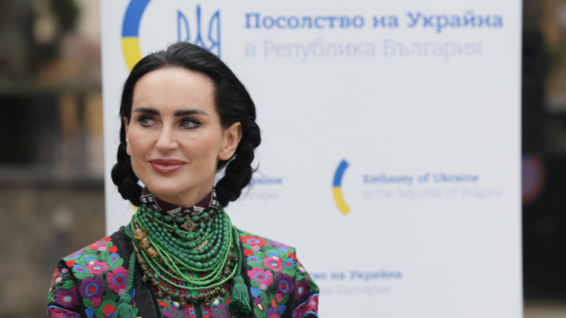 Посол Украины Олеся Илащук