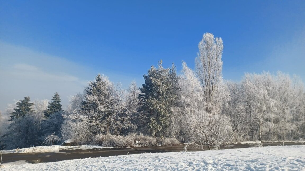 Ботаническа градина - БАН - София