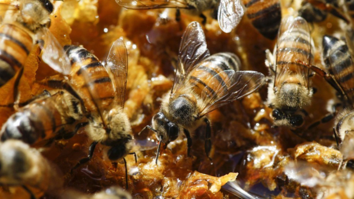 Снимката е илюстративна