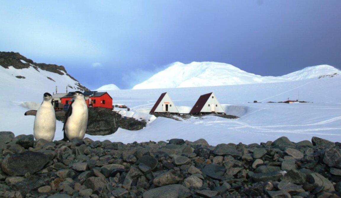 Фото: Болгарский антарктический институт