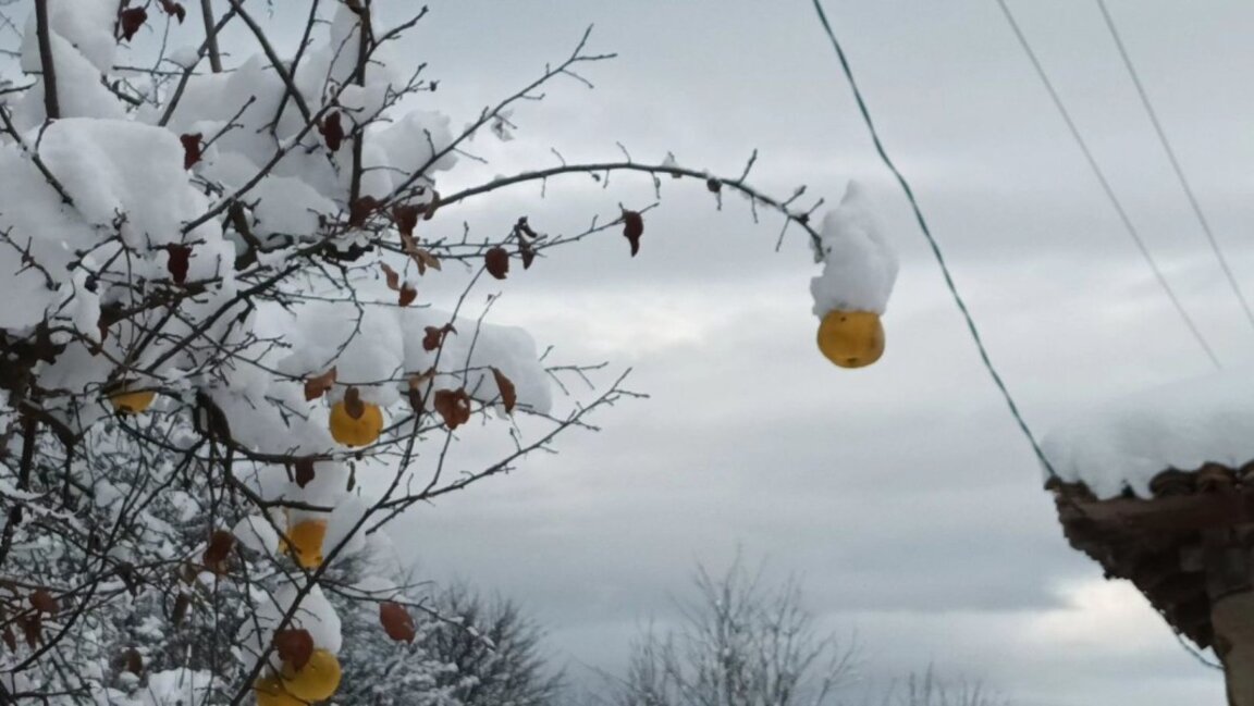 Parashikimi i motit për 22 janarin