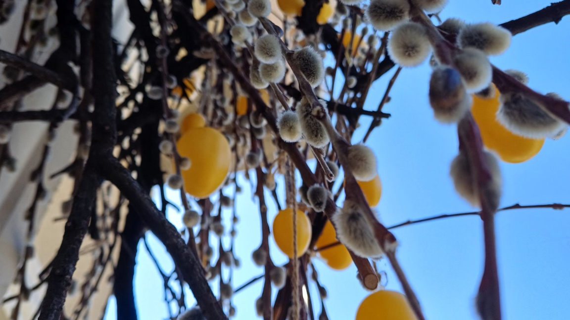 Примирие и последствия в "Ден след ден"