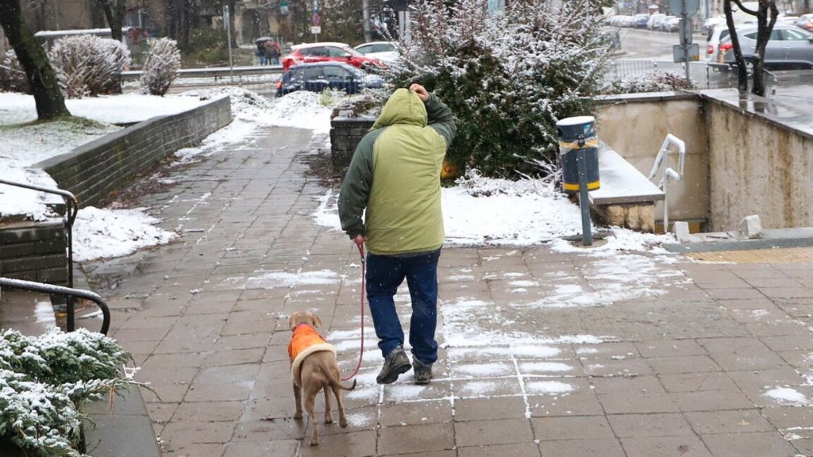 Parashikimi i motit për 12 janarin