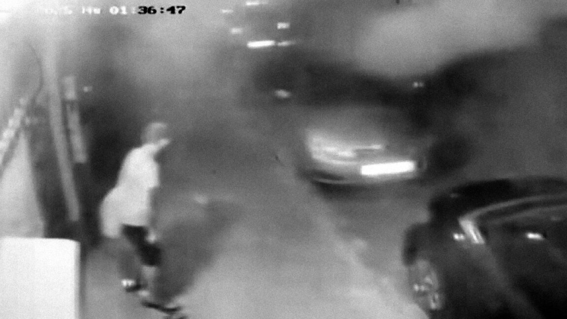 Непоносимост и здравословни проблем са причините за убийството на котка в Сливен