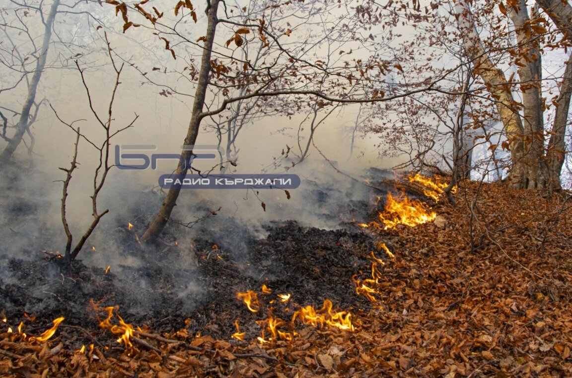 България е най-засегната от пожари в ЕС в последните две години