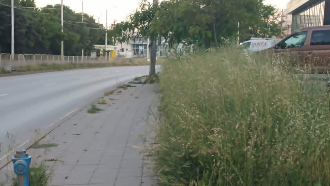 Районният кмет: Двойно повече пари трябват за косене в "Аспарухово"