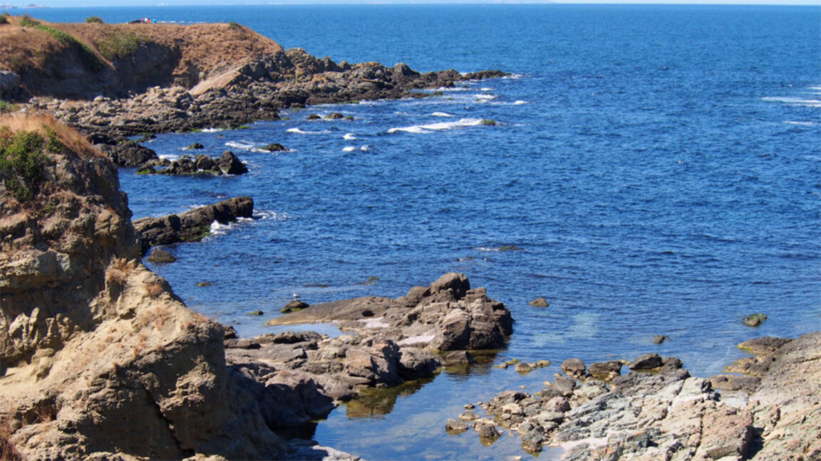 La mer Noire se réchauffe rapidement, alertent des scientifiques bulgares