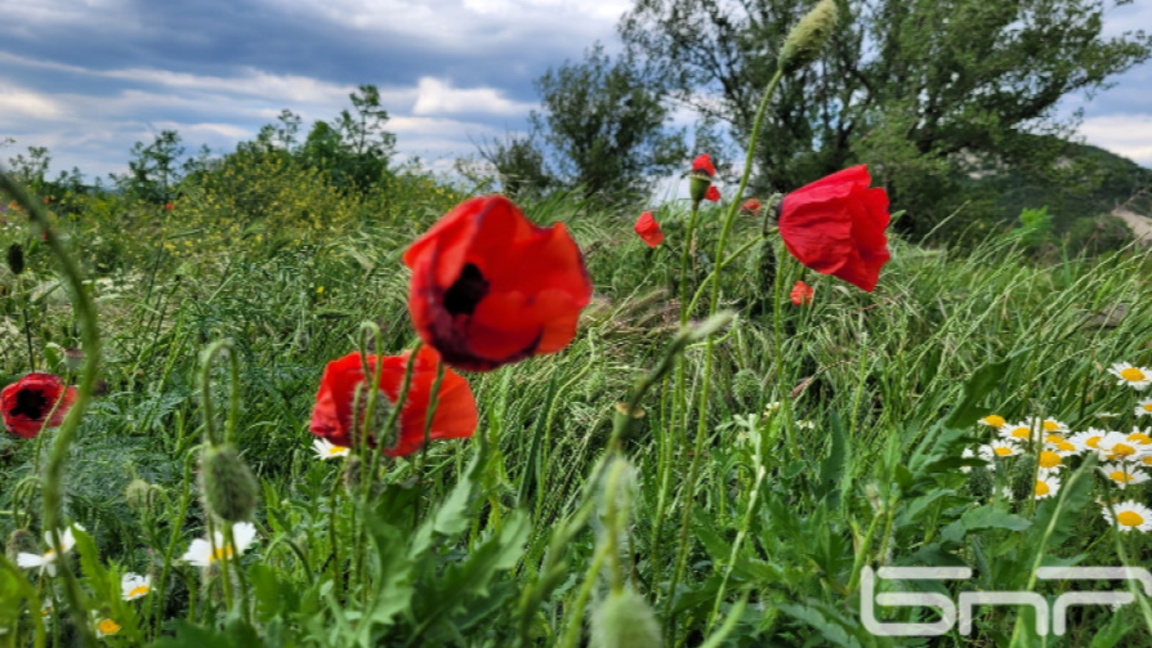 Времето в понеделник