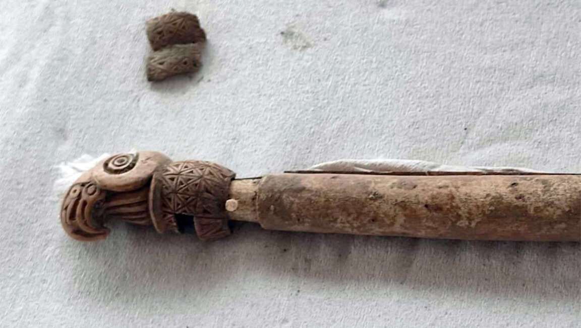 Ein 2.500 Jahre altes skythisches Zepter bei Prowadia entdeckt