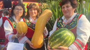 Гигантски плодове и зеленчуци на земеделски фестивал в село Крум