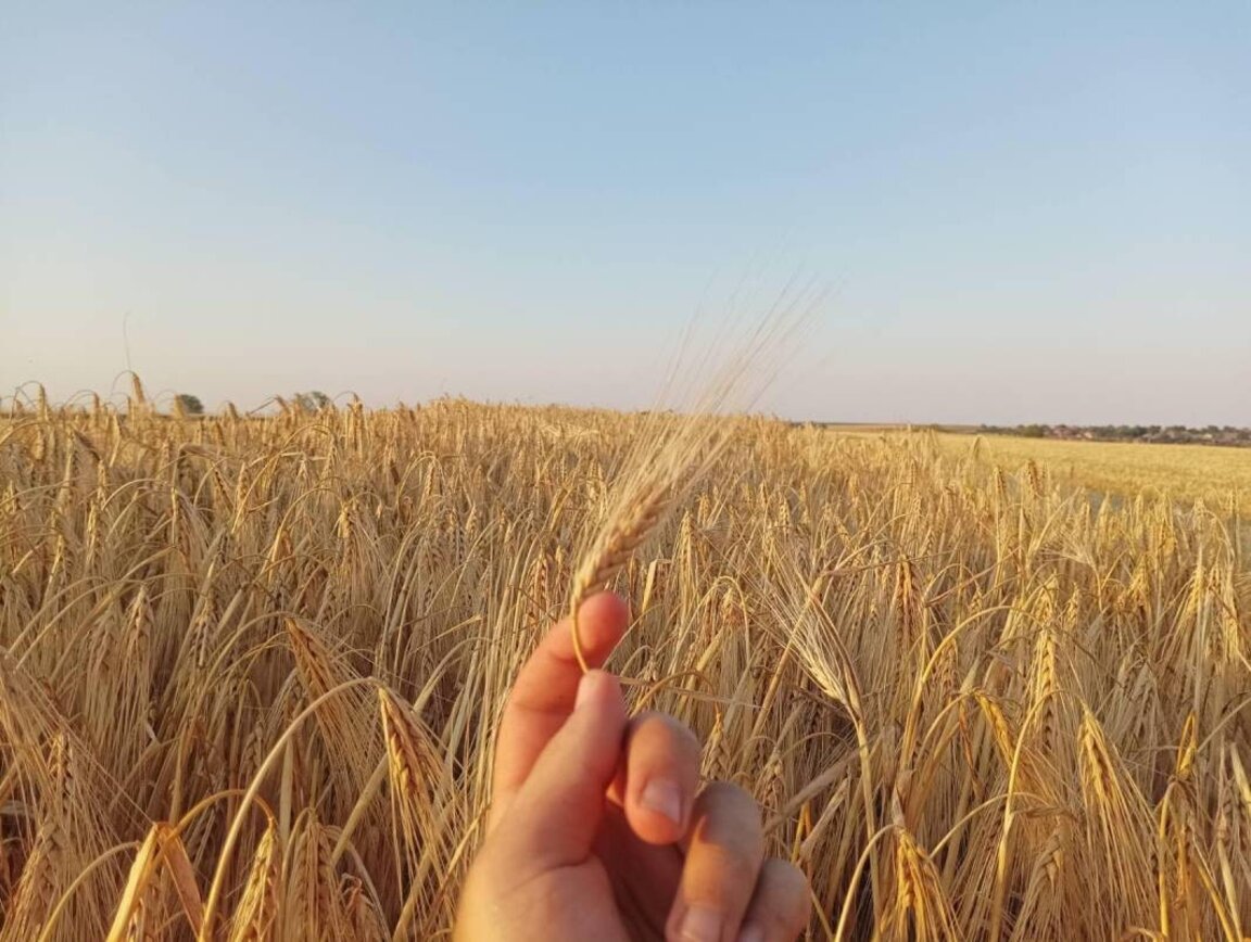 Hausse des prix des terres agricoles en Bulgarie...