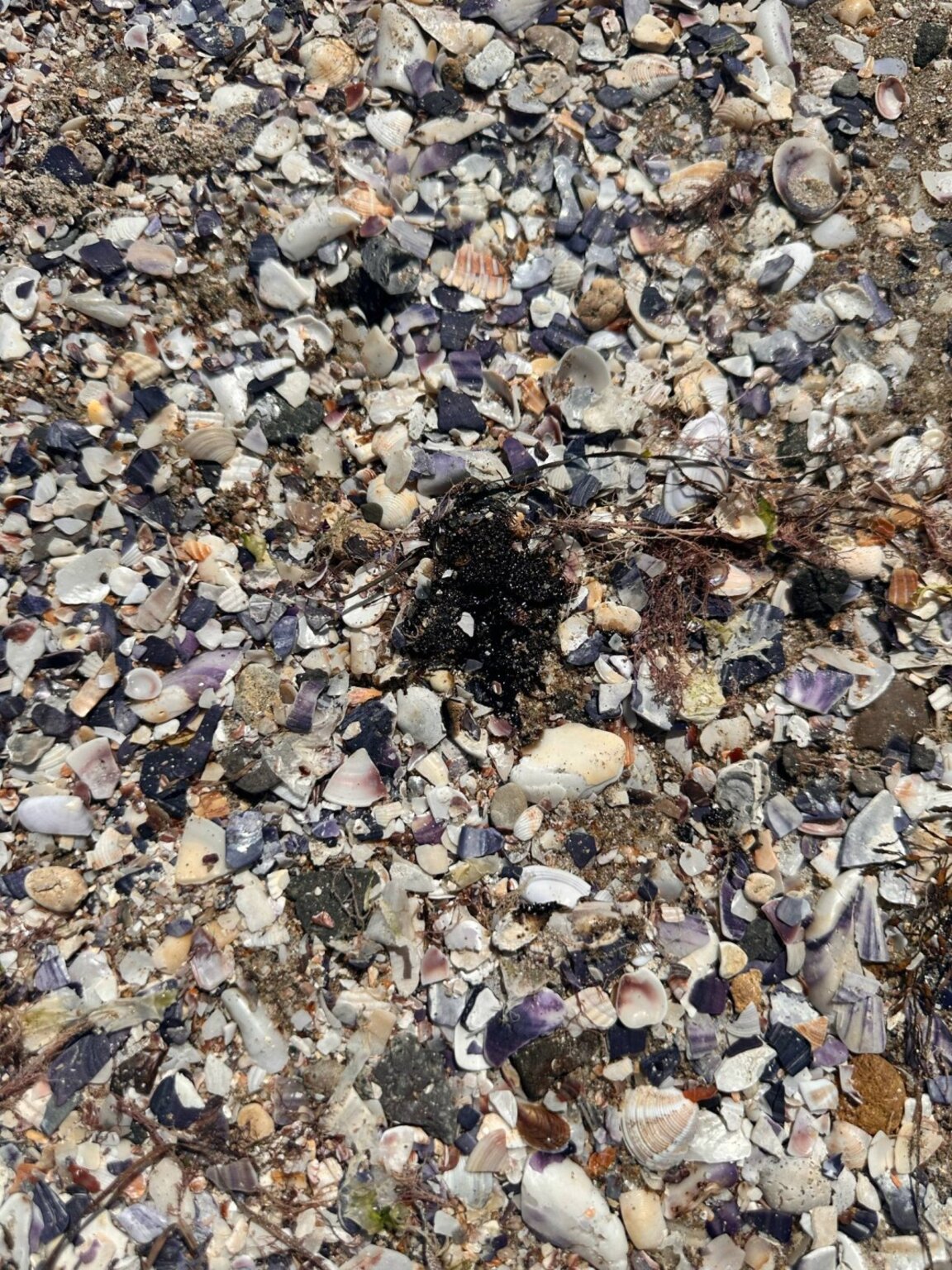 Петно от черна субстанция на плаж в Поморие.