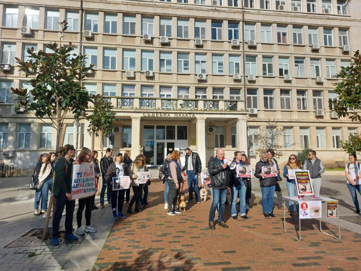 Протест във Варна срещу жестокостта над животните