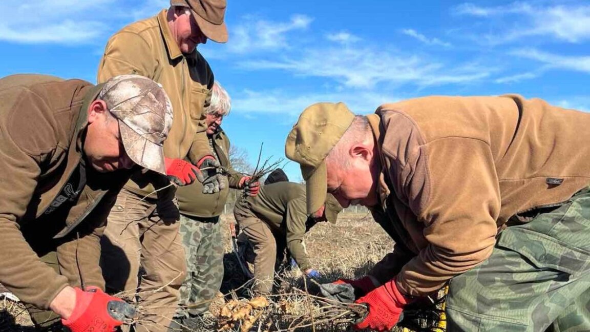 Горските служители в Елхово се подготвят за пролетната залесителна кампания. Държавното горско стопанство в Елхово е под управлението на Югоизточното държавно предприятие – Сливен.