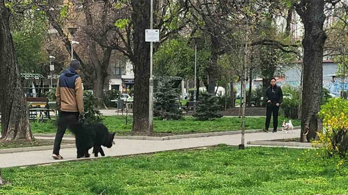 В София провериха над 380 стопани на кучета, съставени са 46 акта