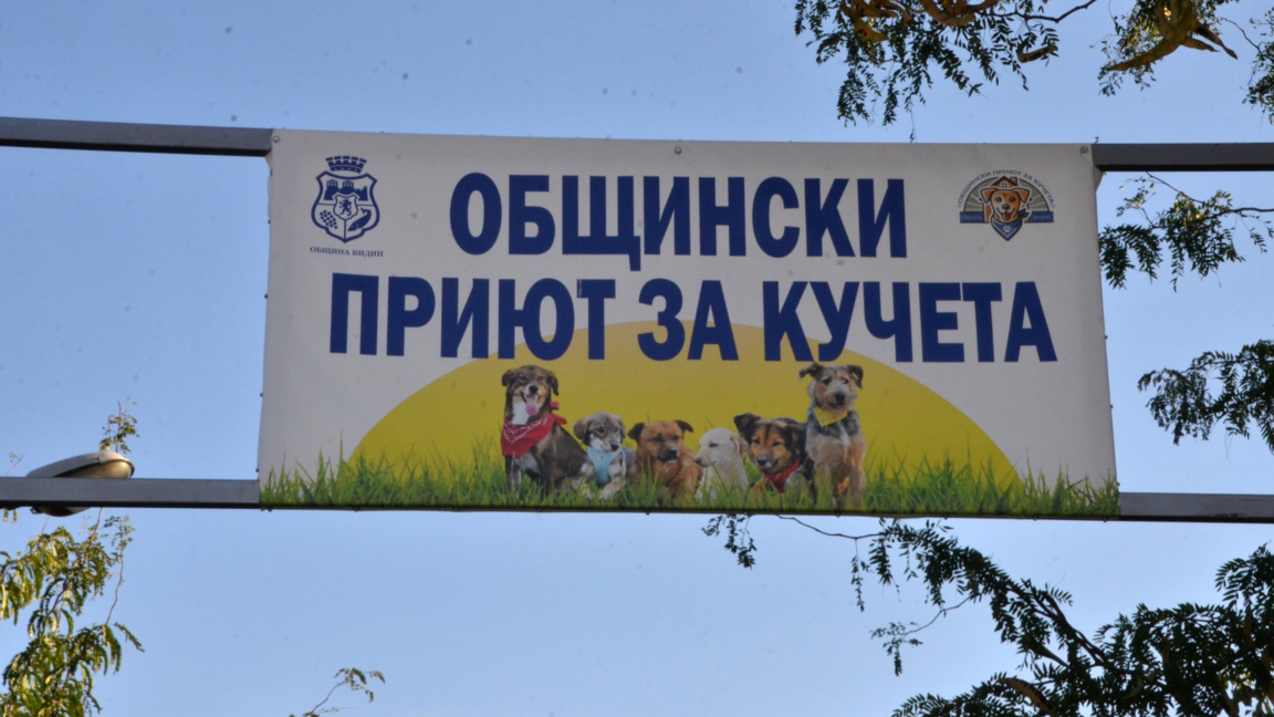 Приютът за кучета във Видин продължава безплатната кастрация на животни
