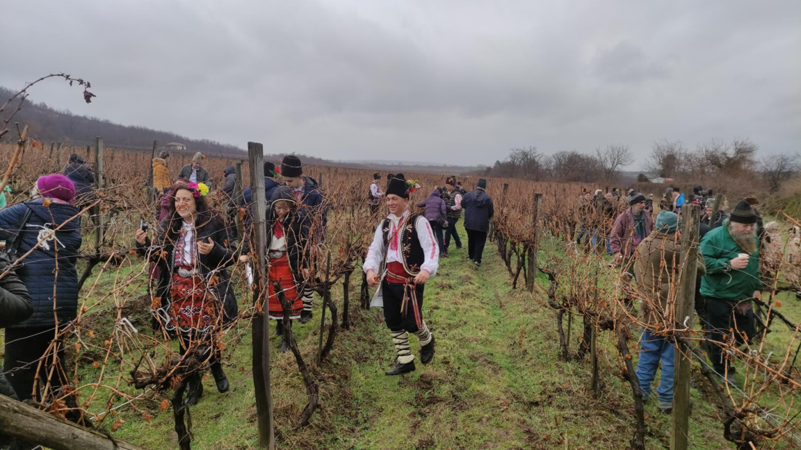За 161-ва година в Сухиндол отбелязват празника на лозата и виното