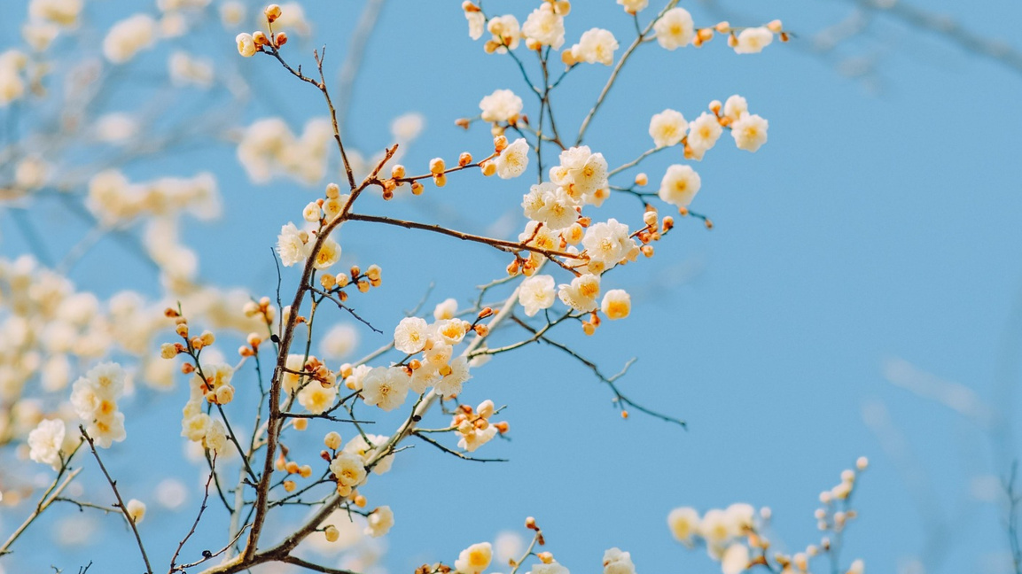 "Благите" вести в "Ден след ден"