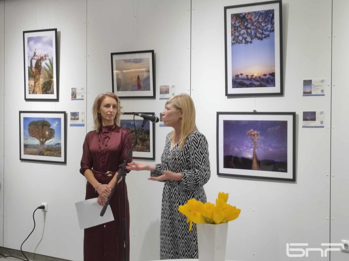 Благотворителна фотоизложба показва красотата на остров Сокотра и Бургас (СНИМКИ)