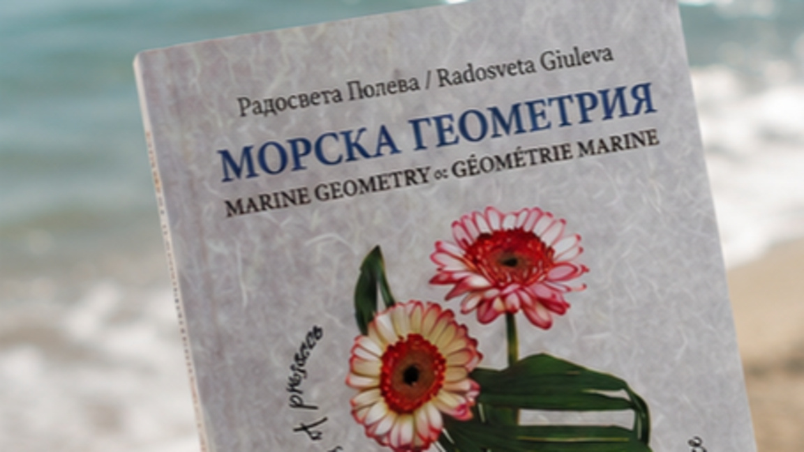 Бургаско хайку с международно отличие