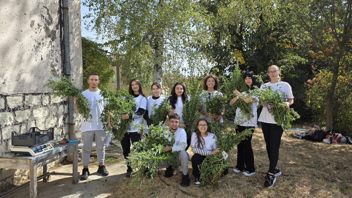 Estevia, alternativa al tabaco para agricultores de los Ródopes