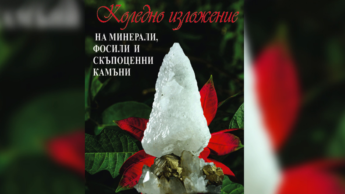 Коледно изложение Музей "Земята и хората"