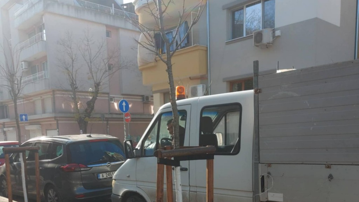Продължава засаждането на дървета до ремонтираните улици в Бургас