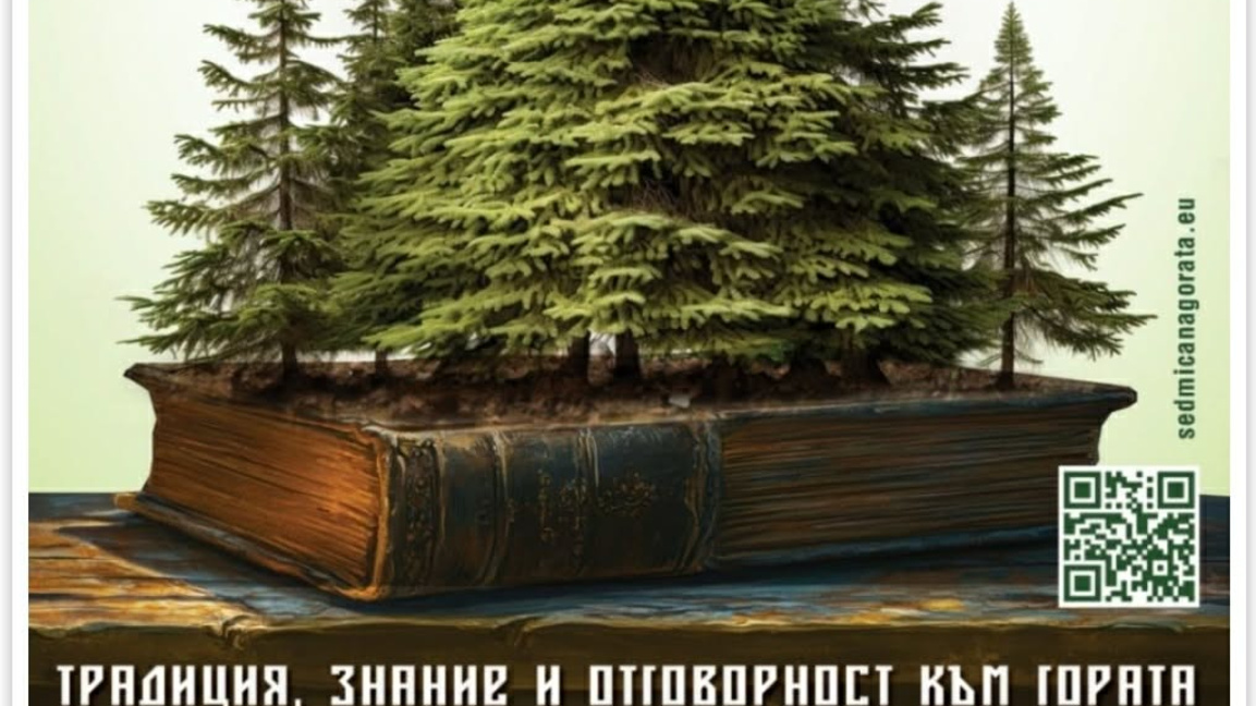 Залесиха около 1000 фиданки край Стара Загора