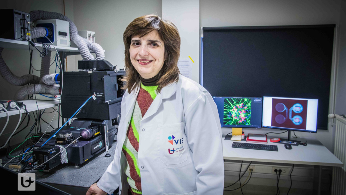 Проф. Албена Йорданова