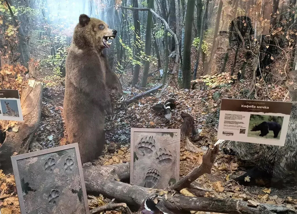 Exposition à Varna sur les animaux en voie de disparition...