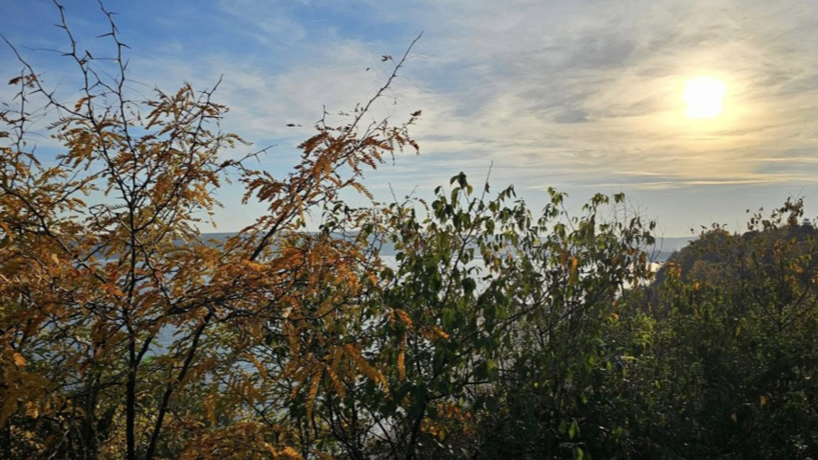 Зимно слънце