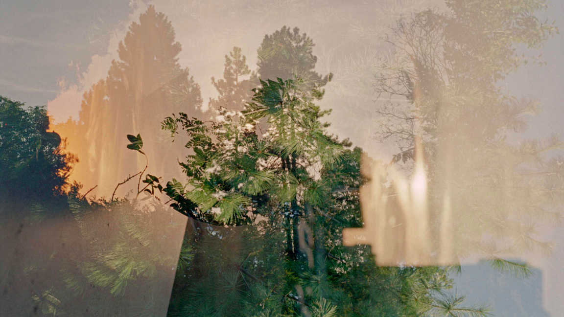 Ло̀но: дебютна изложба на Йоана Ангелова-Тодорова