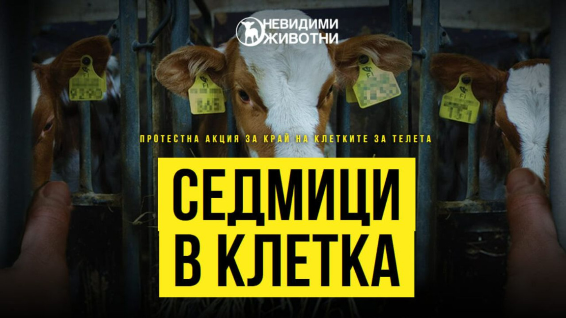 Људи затворени у кавезима протестоваће две недеље испред Парламента