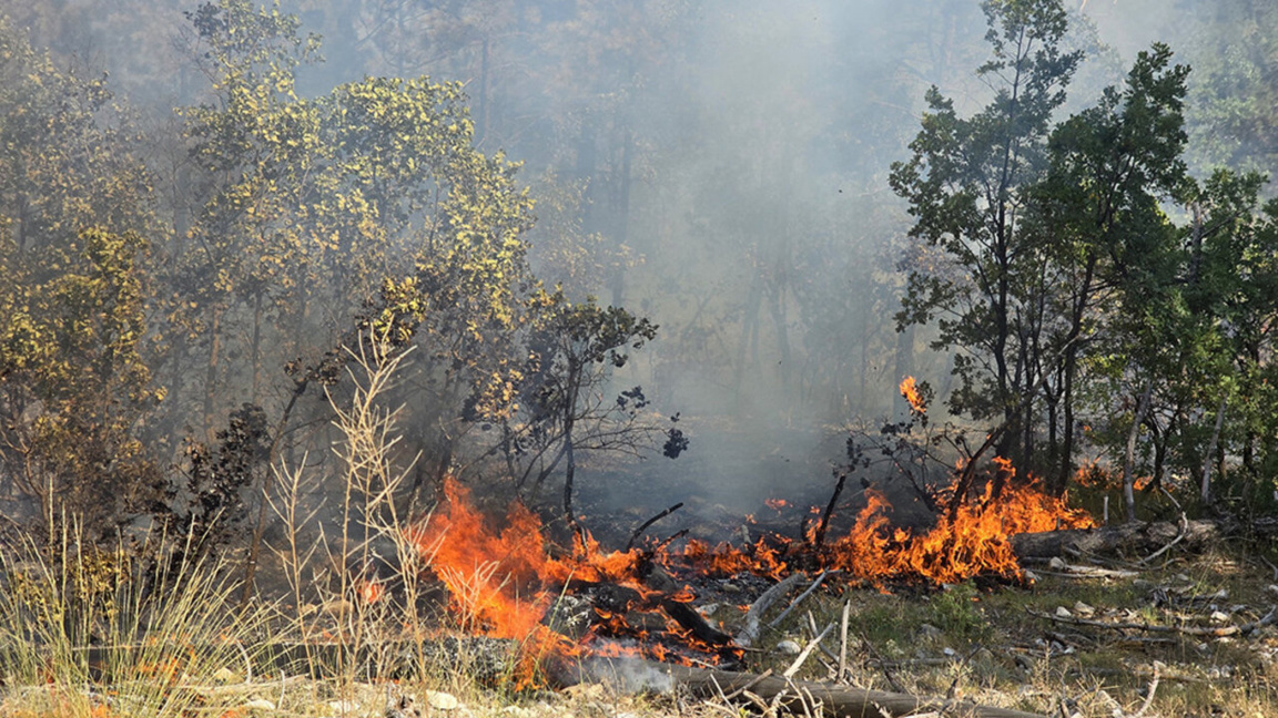 Un rayo provoca un incendio en Pirin