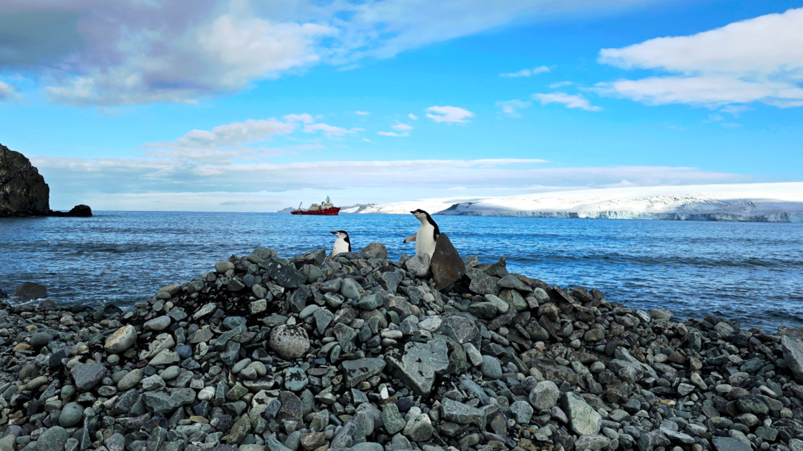 Ekspedita e 34 në Antarktidë është një nga më të suksesshmet