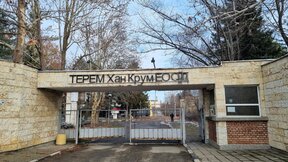 Пеевски поиска ръководството на "Терем" да бъде уволнено