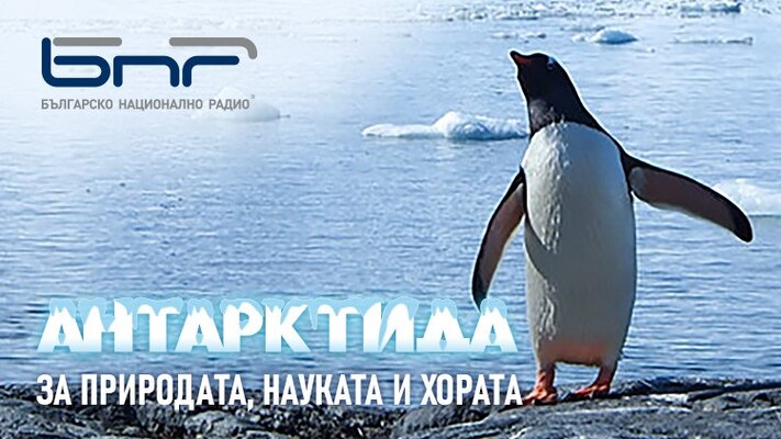 Антрактида