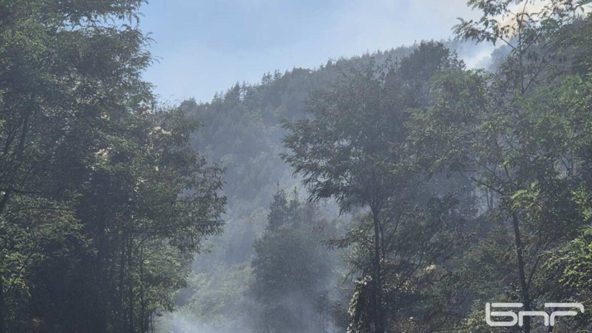 Западният фронт на пожара в Национален парк "Рила" е овладян