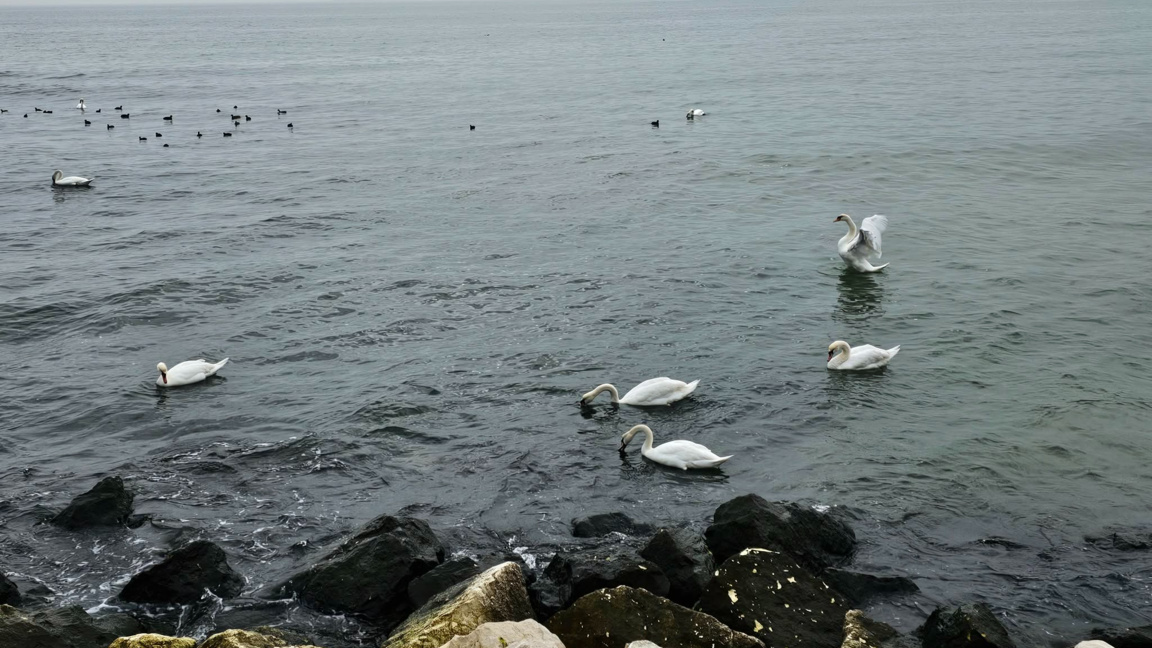 Hava durumu