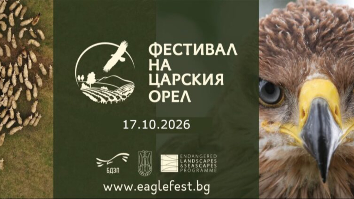 Фестивал на царския орел